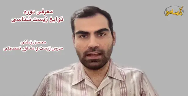 تیر آخر